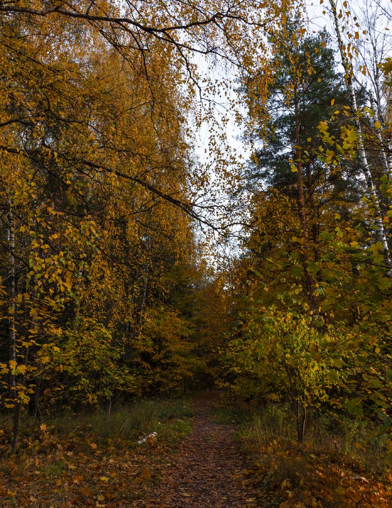 Photograph by Галина Эмберг