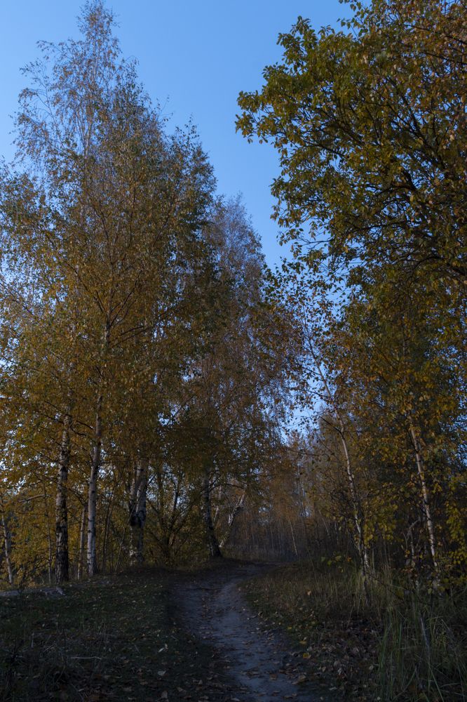 Photograph by Галина Эмберг