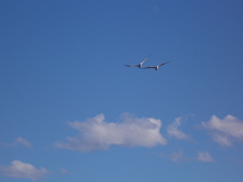 Photograph by María Laura Giorda