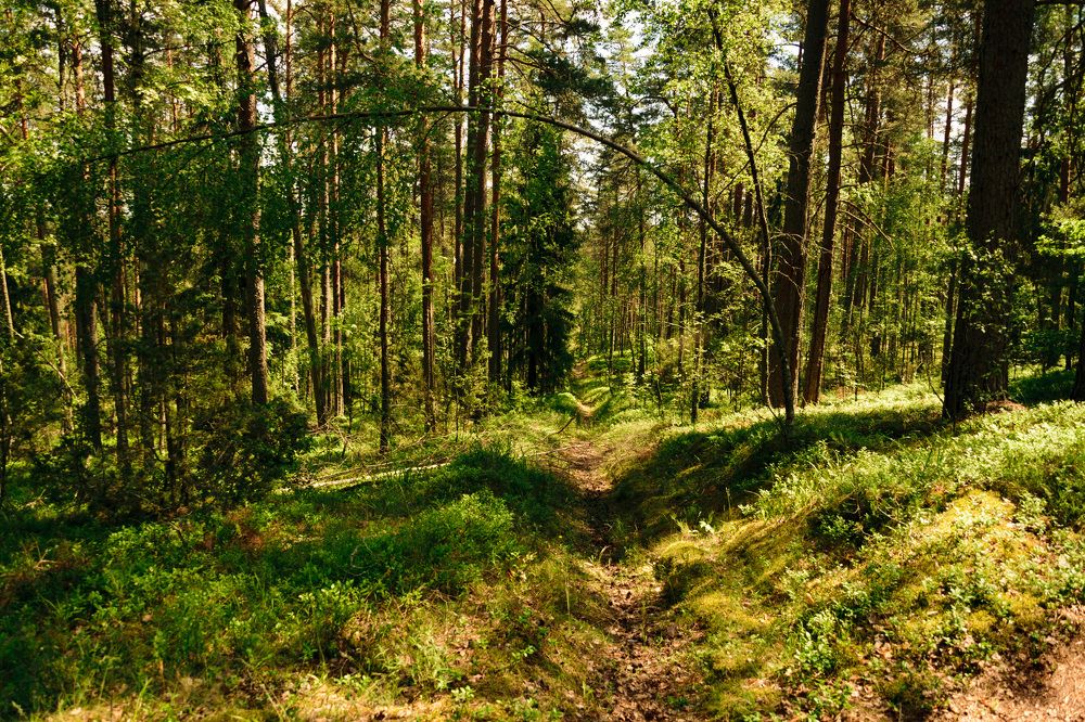 Photograph by Лилия Кондратьева