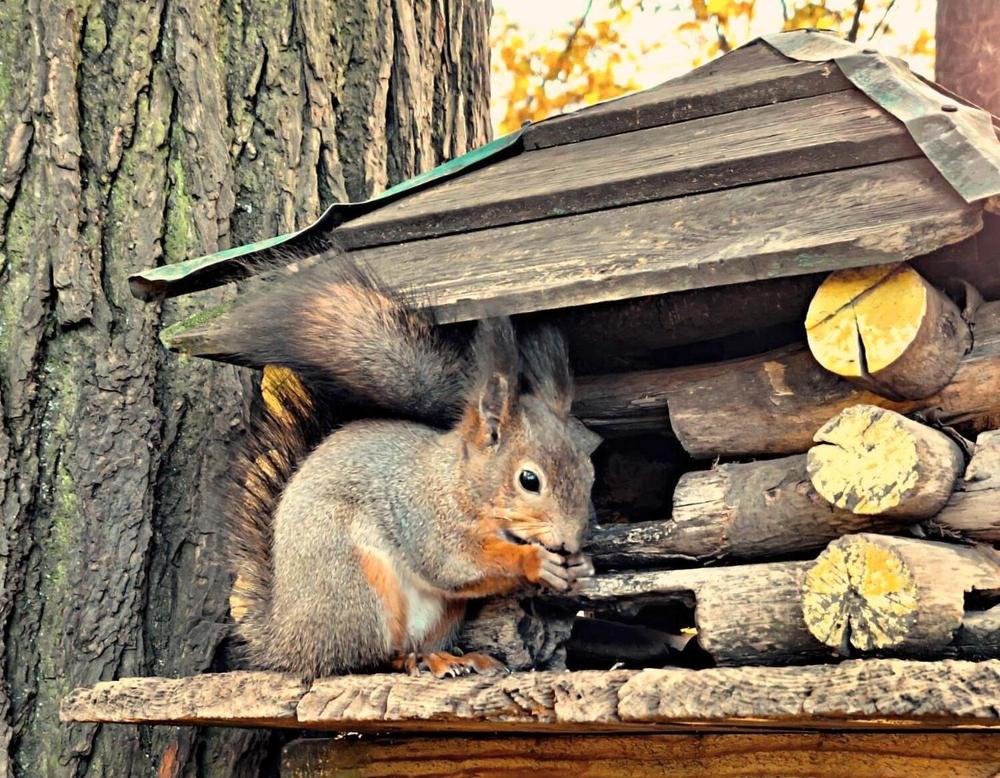 Photograph by Татьяна Слесарева