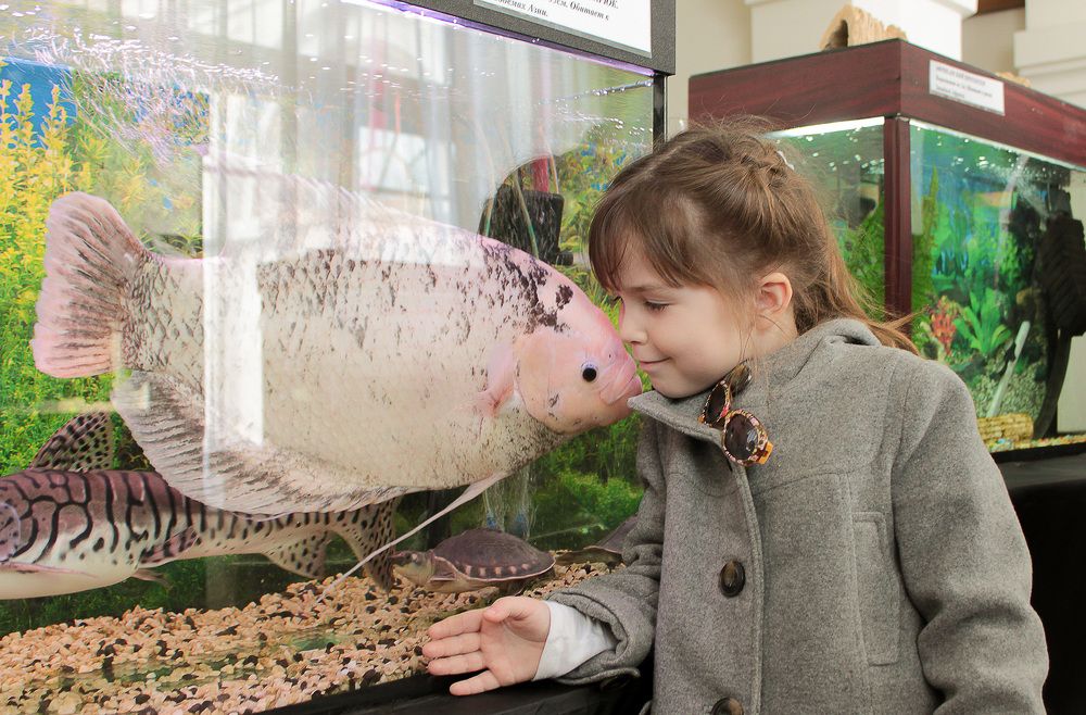 Photograph by Светлана Кавказская