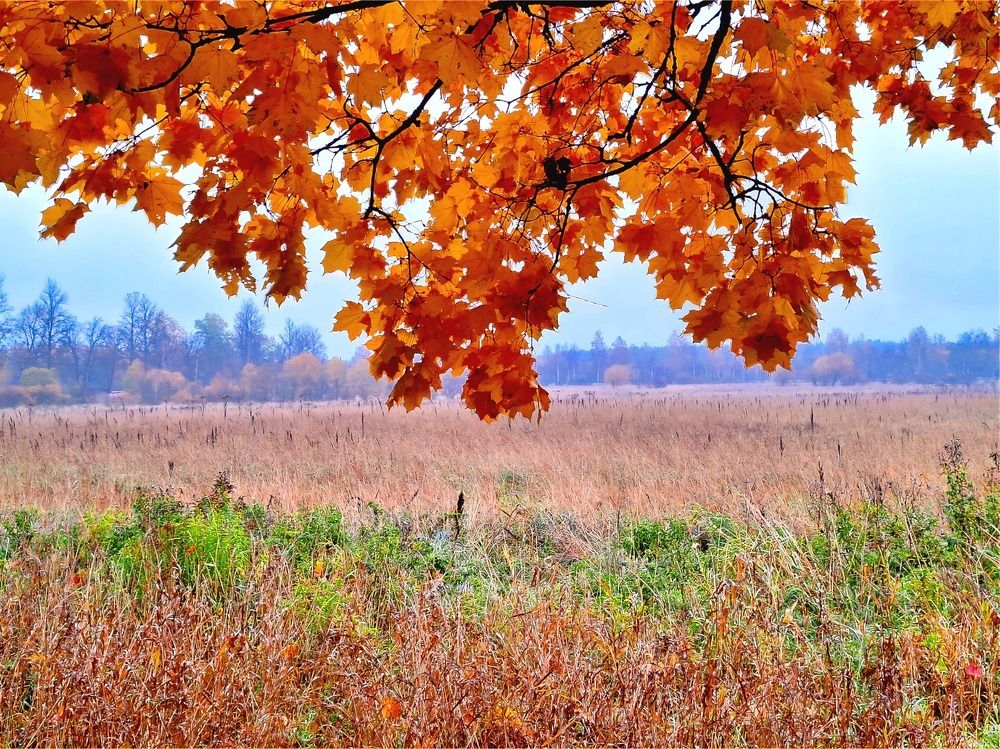 Photograph by Татьяна Слесарева