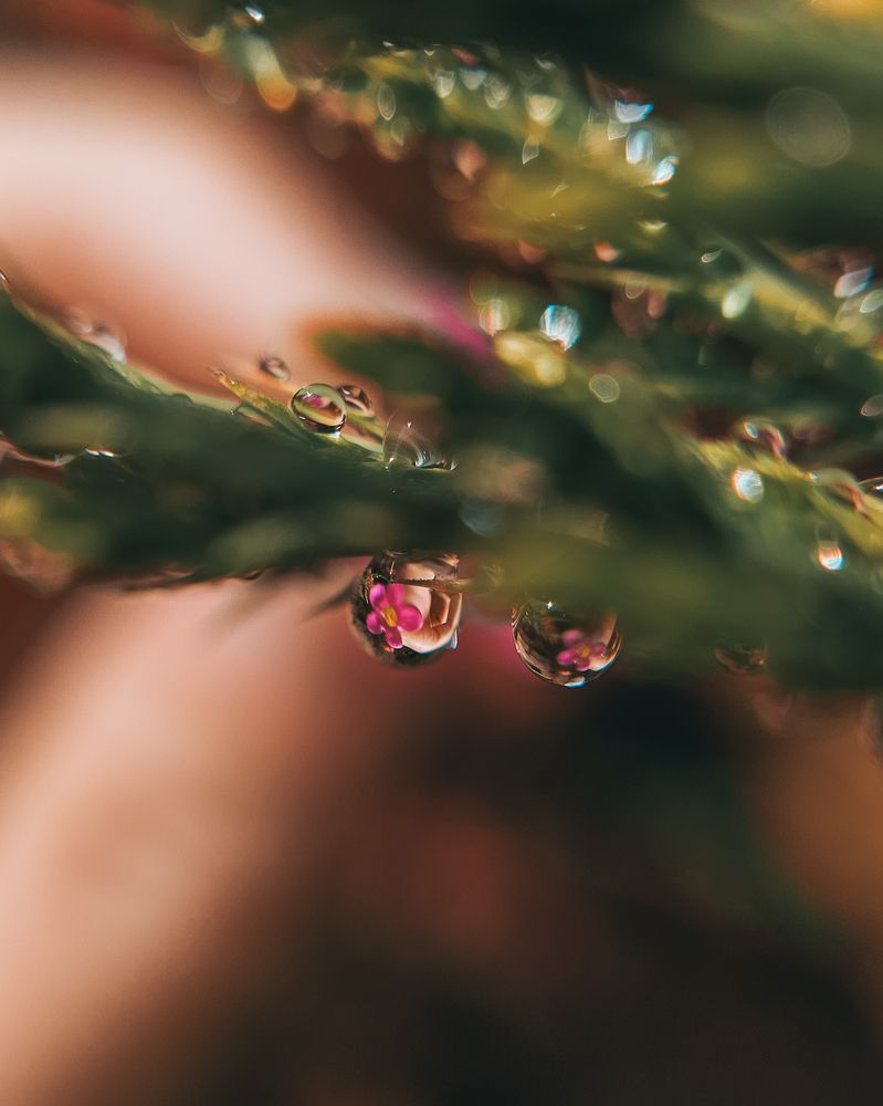 Photograph by Irina Chka