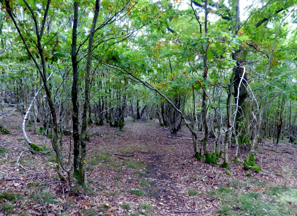 Photograph by Pjotr Alekseev