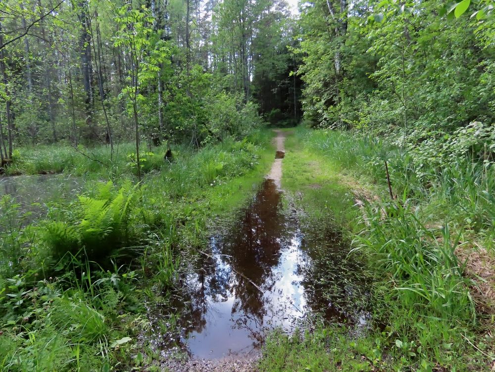 Photograph by Pjotr Alekseev