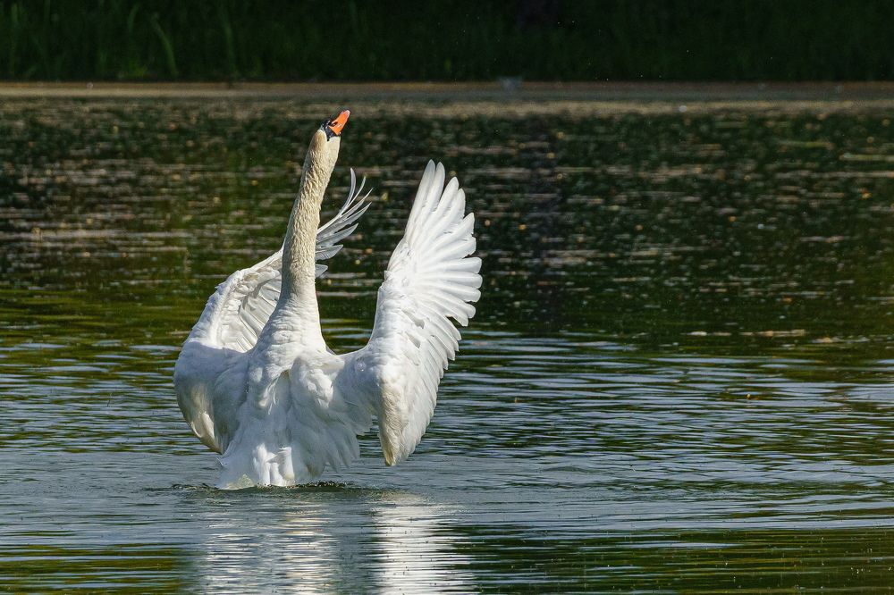 Photograph by Valdis Serzhans
