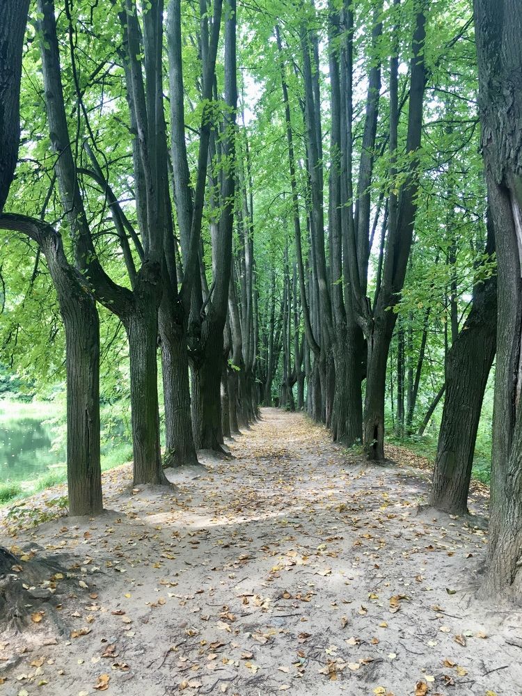 Photograph by Ирина Швейнова