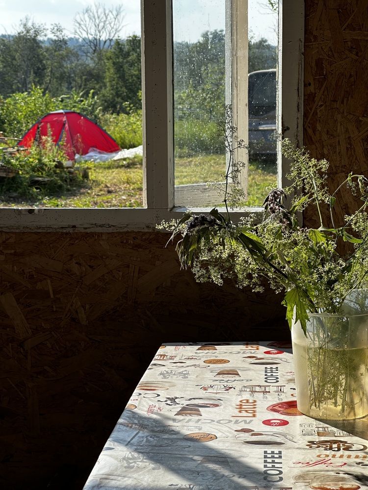 Лето в деревне