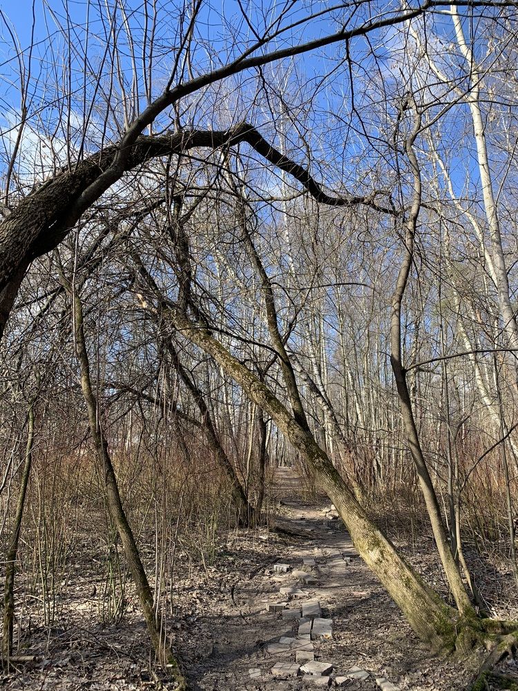 Photograph by Ирина Швейнова