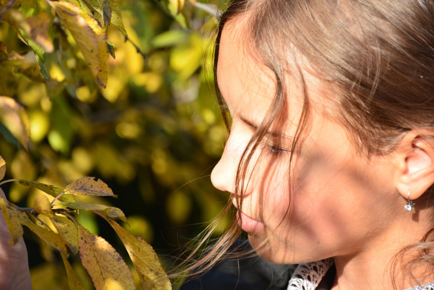 Photo #11237941