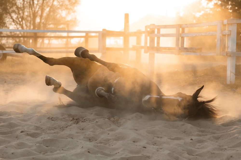 Photograph by Елена Мышковская