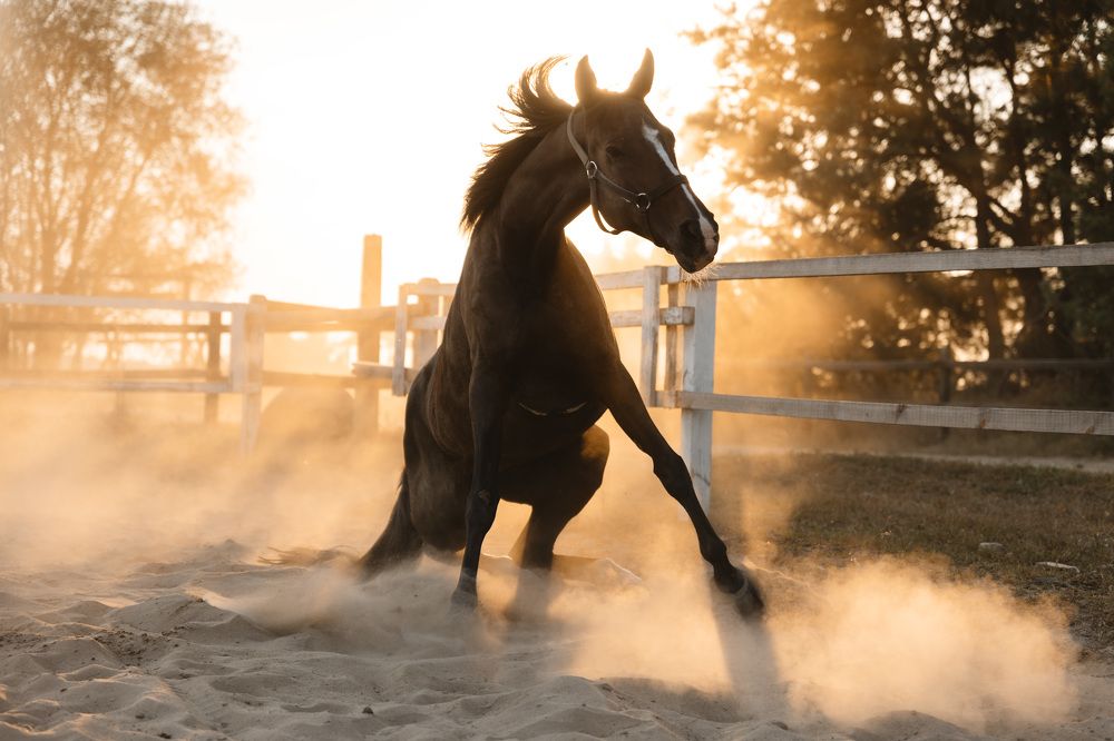 Photograph by Елена Мышковская