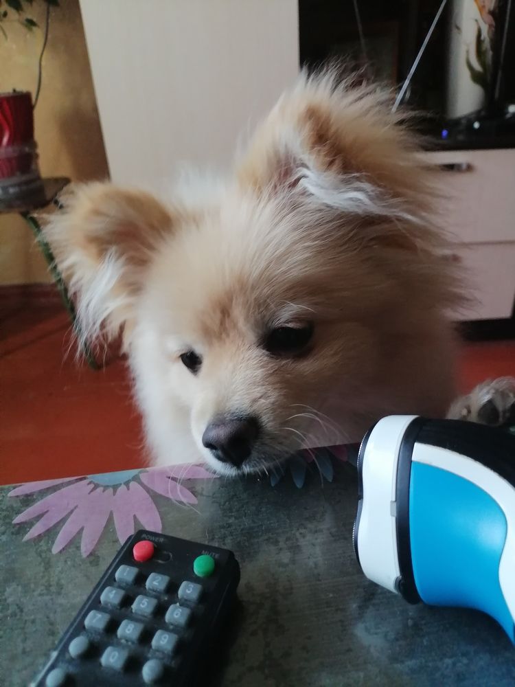 Photograph by Павел Дегтярев