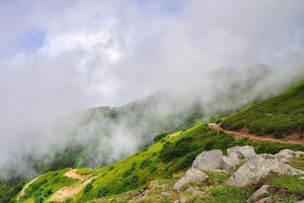 Вперед и вверх...
