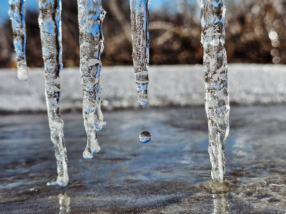 Photograph by Irina Chka