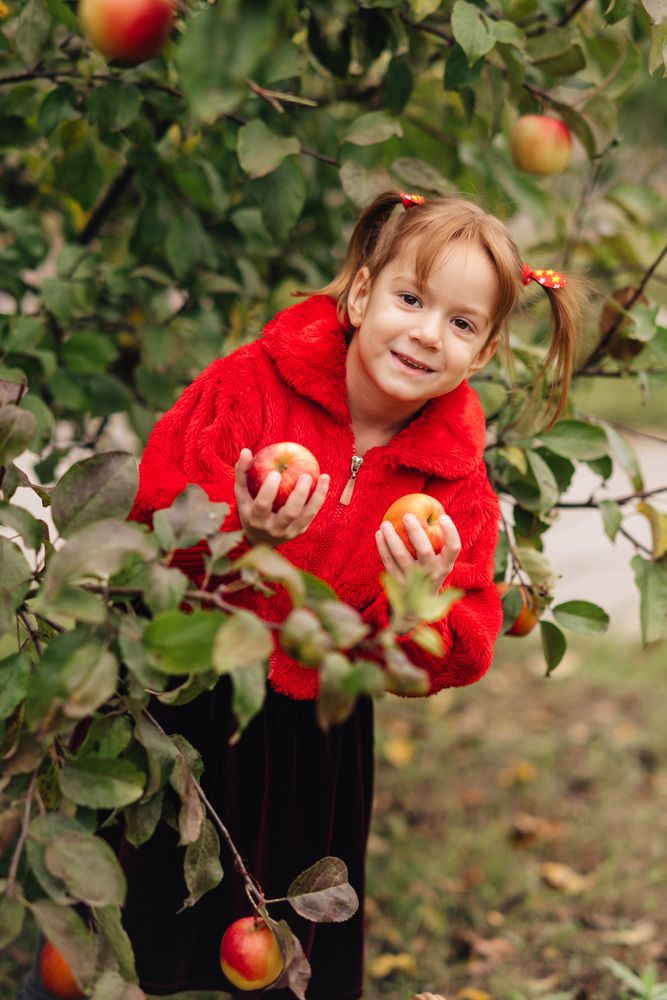 Photograph by Юлия Неплашова