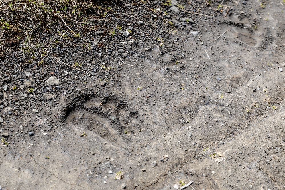 Photograph by Анна Сорокина