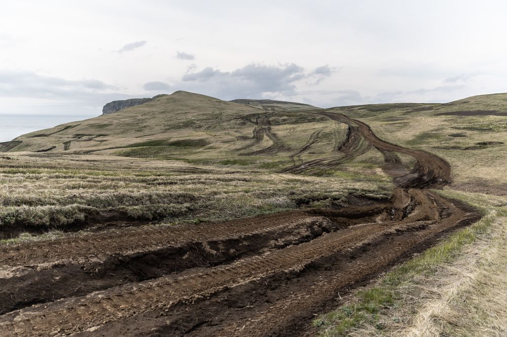 Photograph by Анна Сорокина