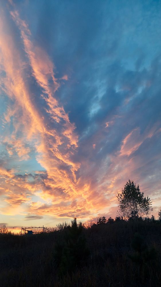 Photograph by Элеонора Безженова