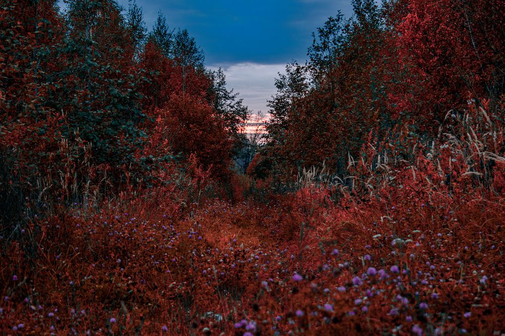 Photograph by bsfwork