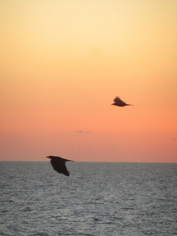 Фотография автора Руслан Зиновьев