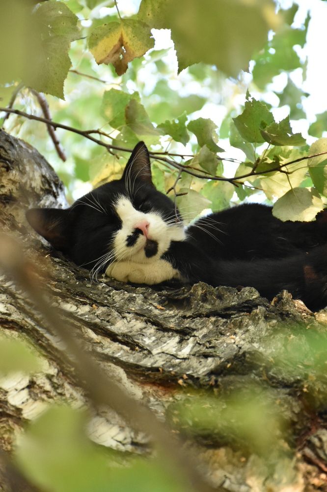 Photograph by Элеонора Безженова