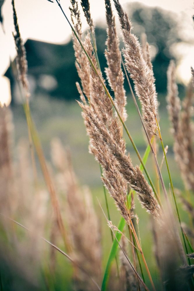 Photograph by Элеонора Безженова