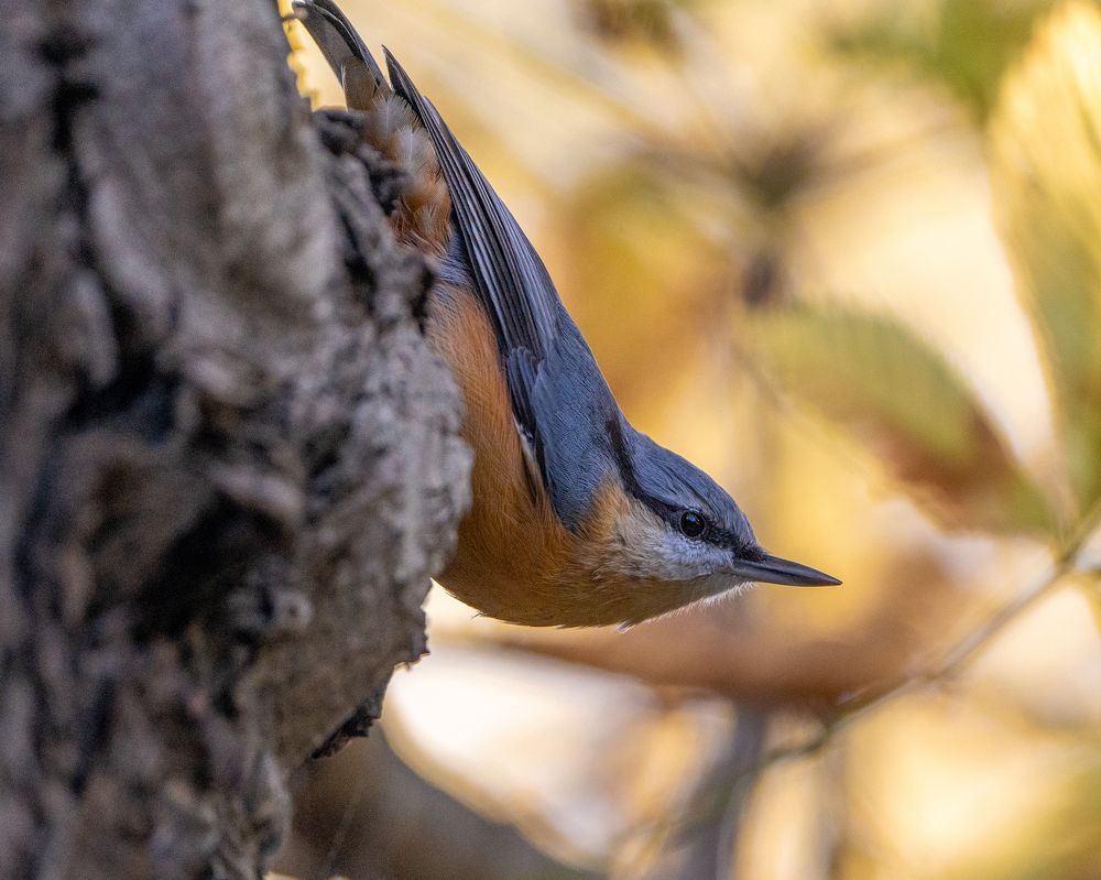 Photograph by Raman Danilchyk