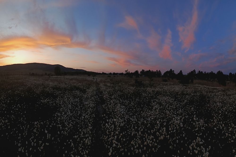 Photograph by Екатерина Игоревна