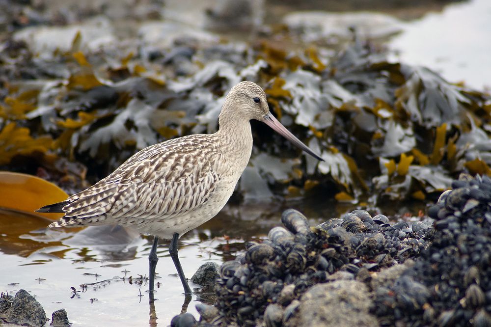 Photograph by Светлана Гореликова