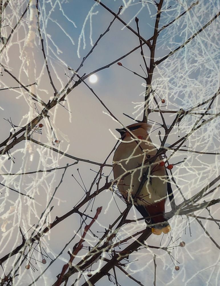 Photograph by Татьяна Гулакова