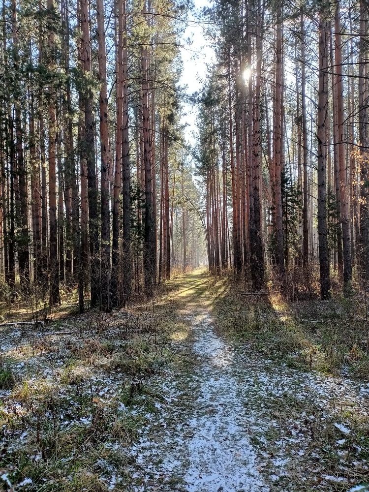 Photograph by Анастасия Горбачева