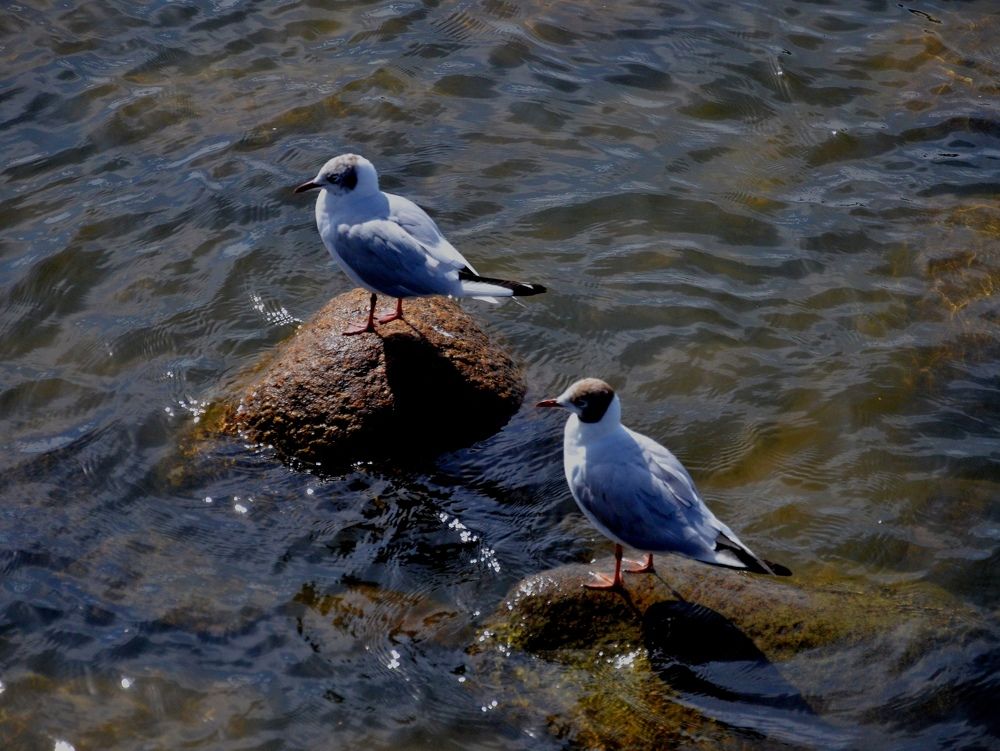 Photograph by Настя