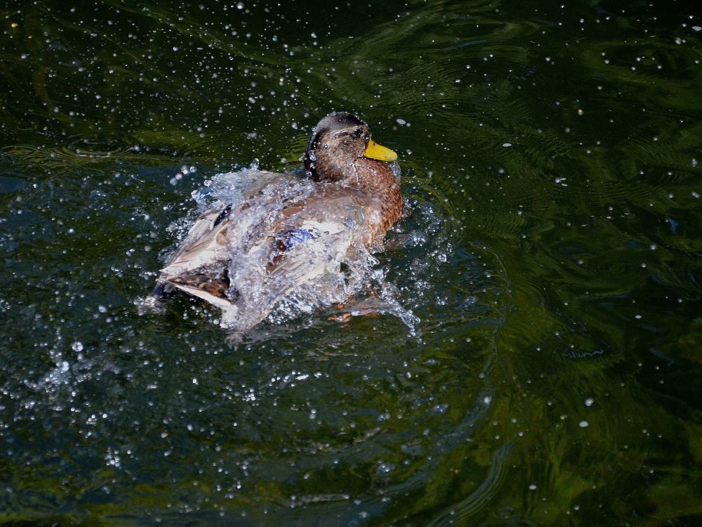 Photograph by Настя