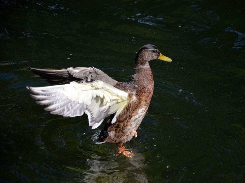 Photograph by Настя