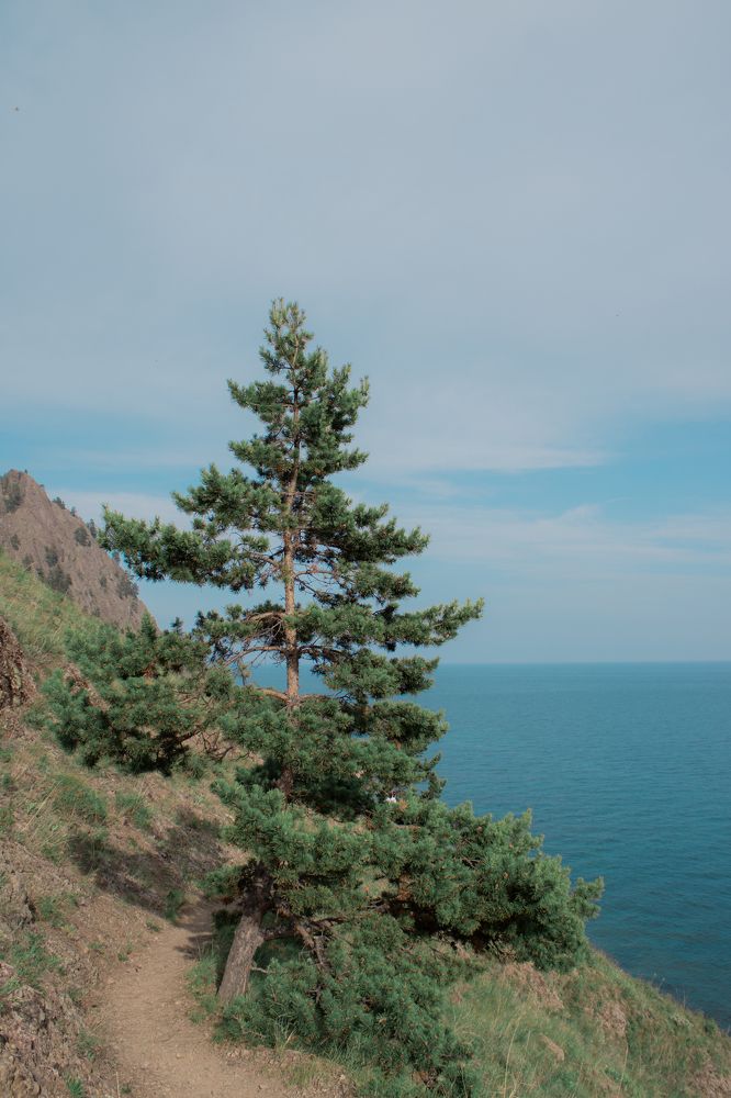 Фотография автора Анастасия Анисова