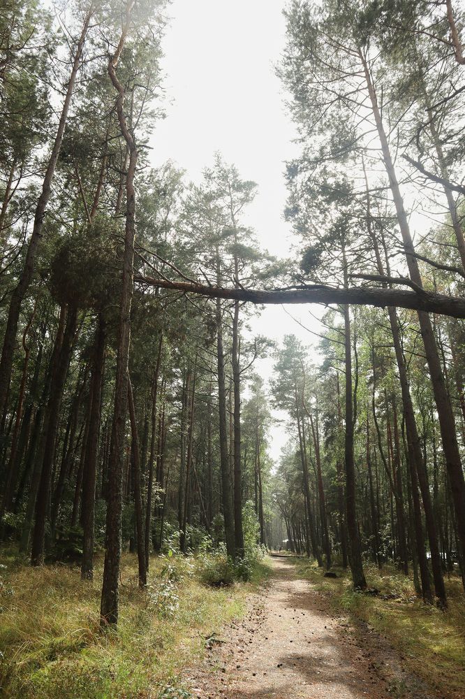 Photograph by Anastasia Kopylova