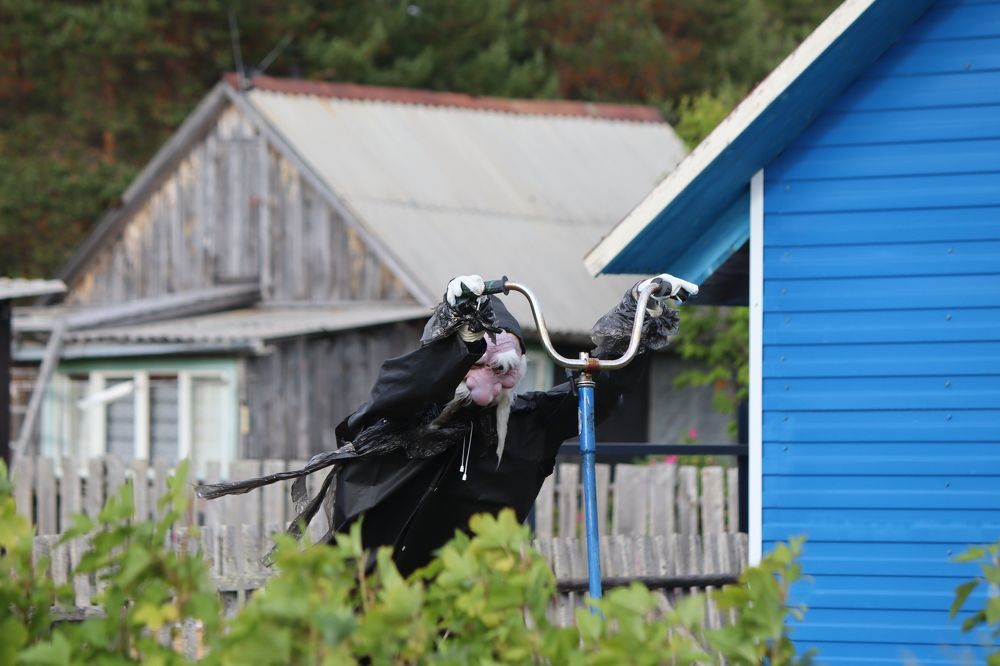 Photograph by Виктор Полуэктов