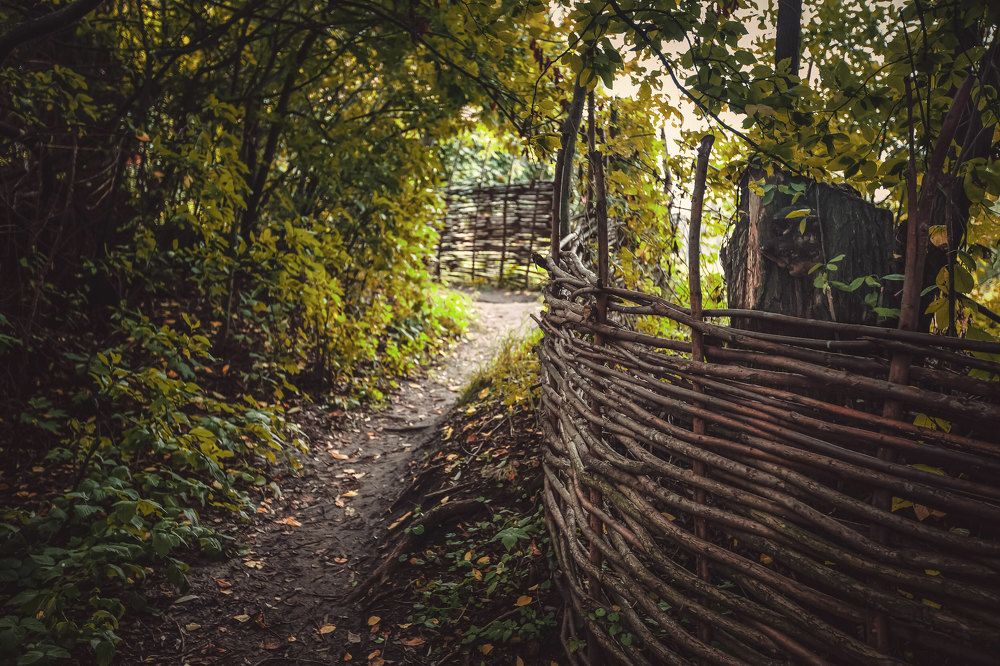 Photograph by Сергей Шпаков