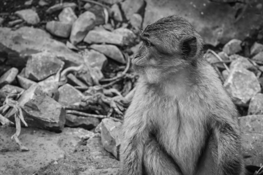 Photograph by Андрей Безгин