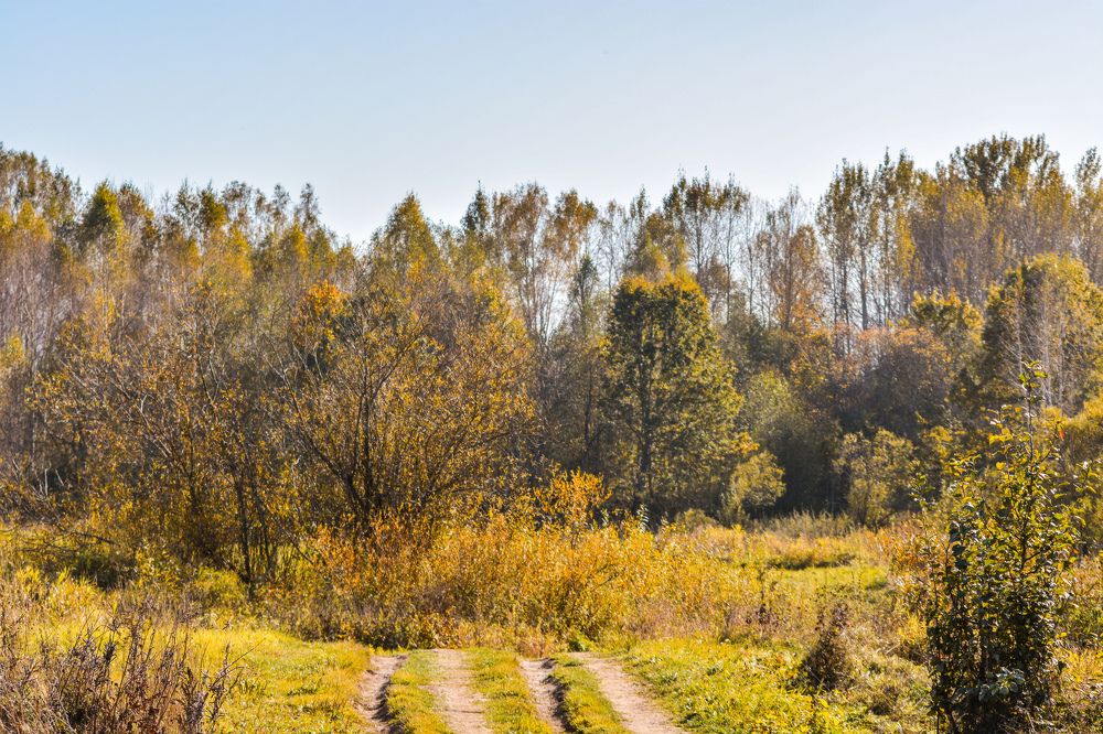 Photograph by Анастасия Гурова