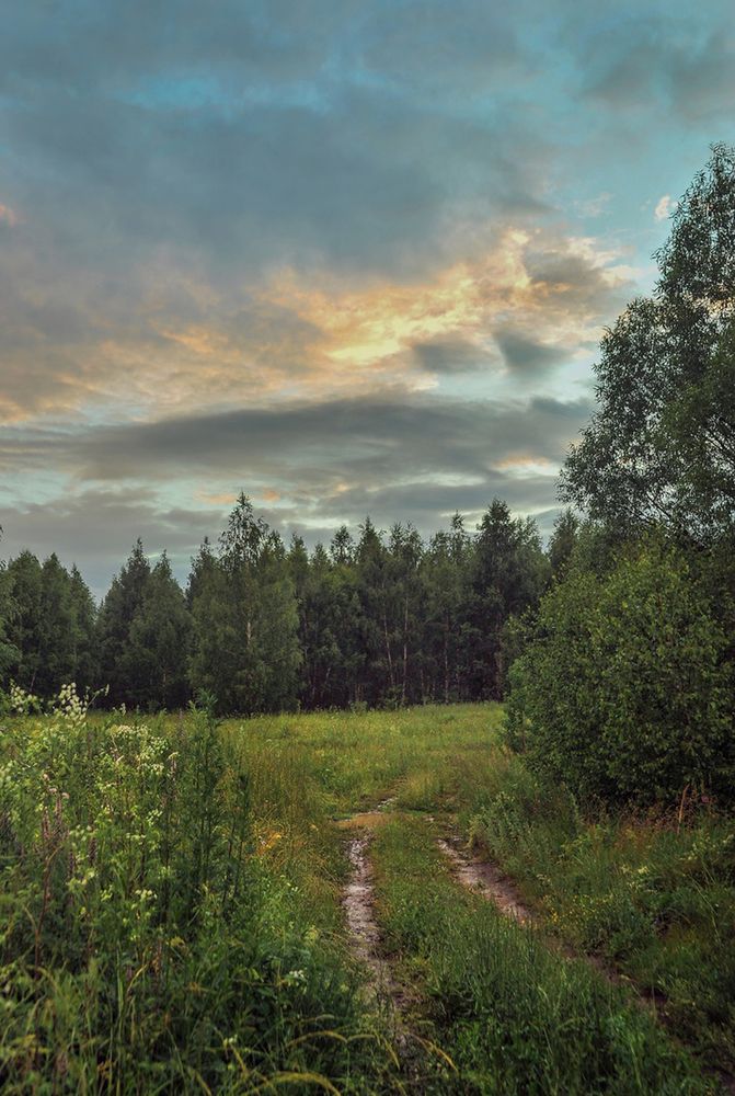 Photograph by Cергей Абакумов