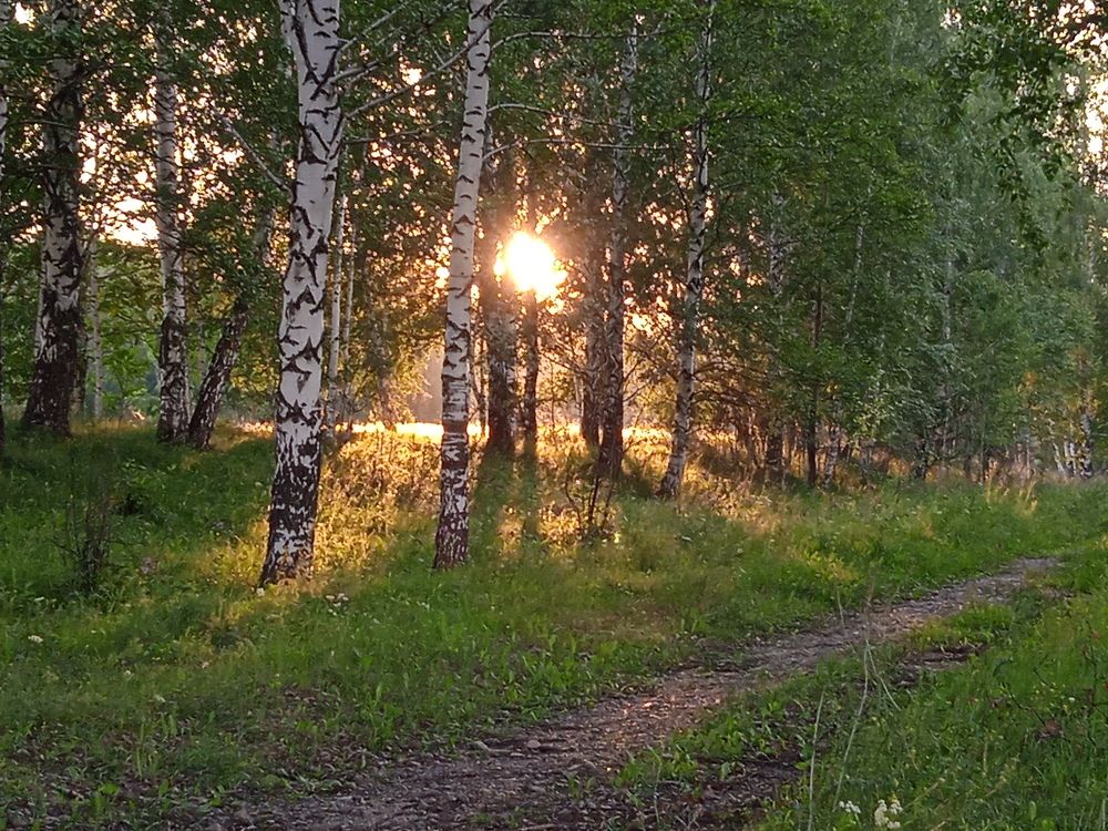 Photograph by Наталья Сорокина