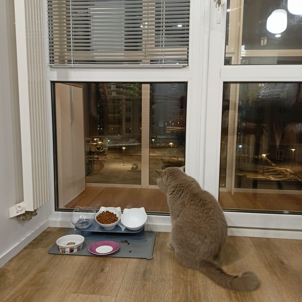 Photograph by Анастасия Горбачева