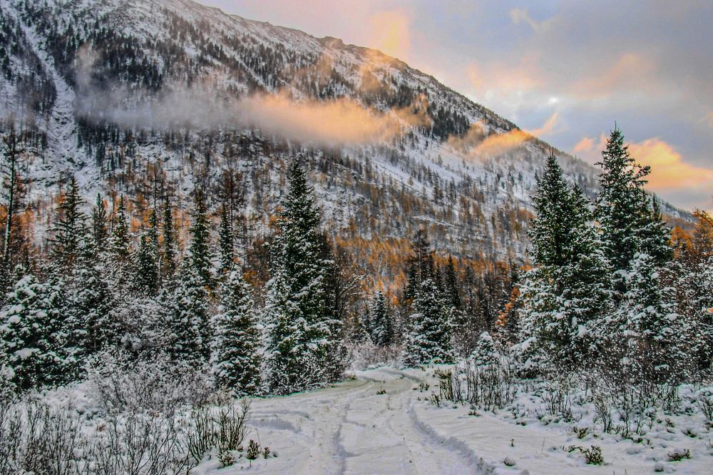 Photograph by Юрий Борик