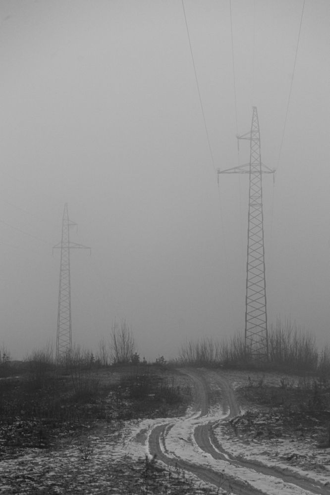 Photograph by Григорий Шишонков