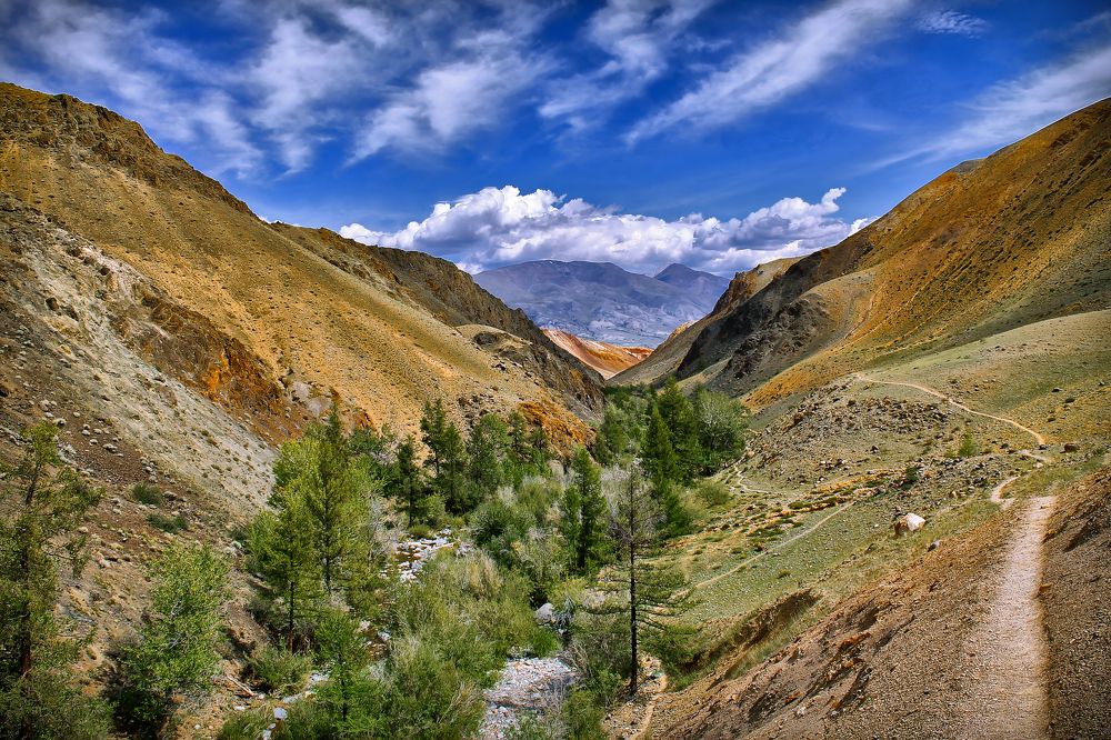 Марсианские тропы Алтая.
