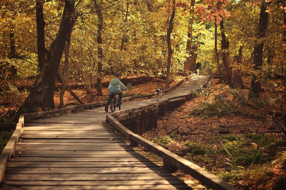 Photograph by Елизавета Гурова
