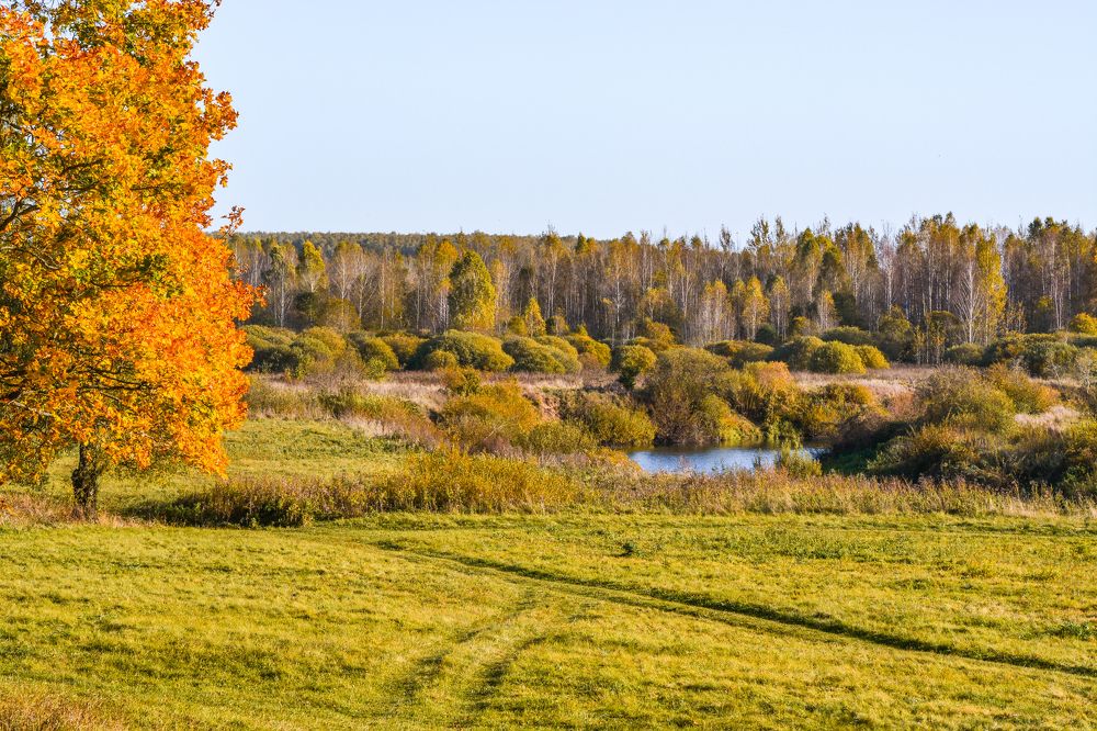 Photograph by Анастасия Гурова